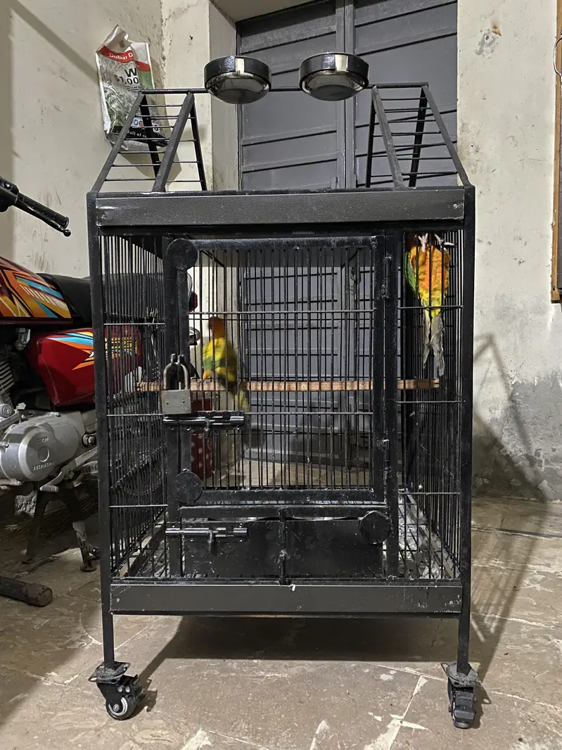 Raw Tamed +Breeding Cage — photo 6