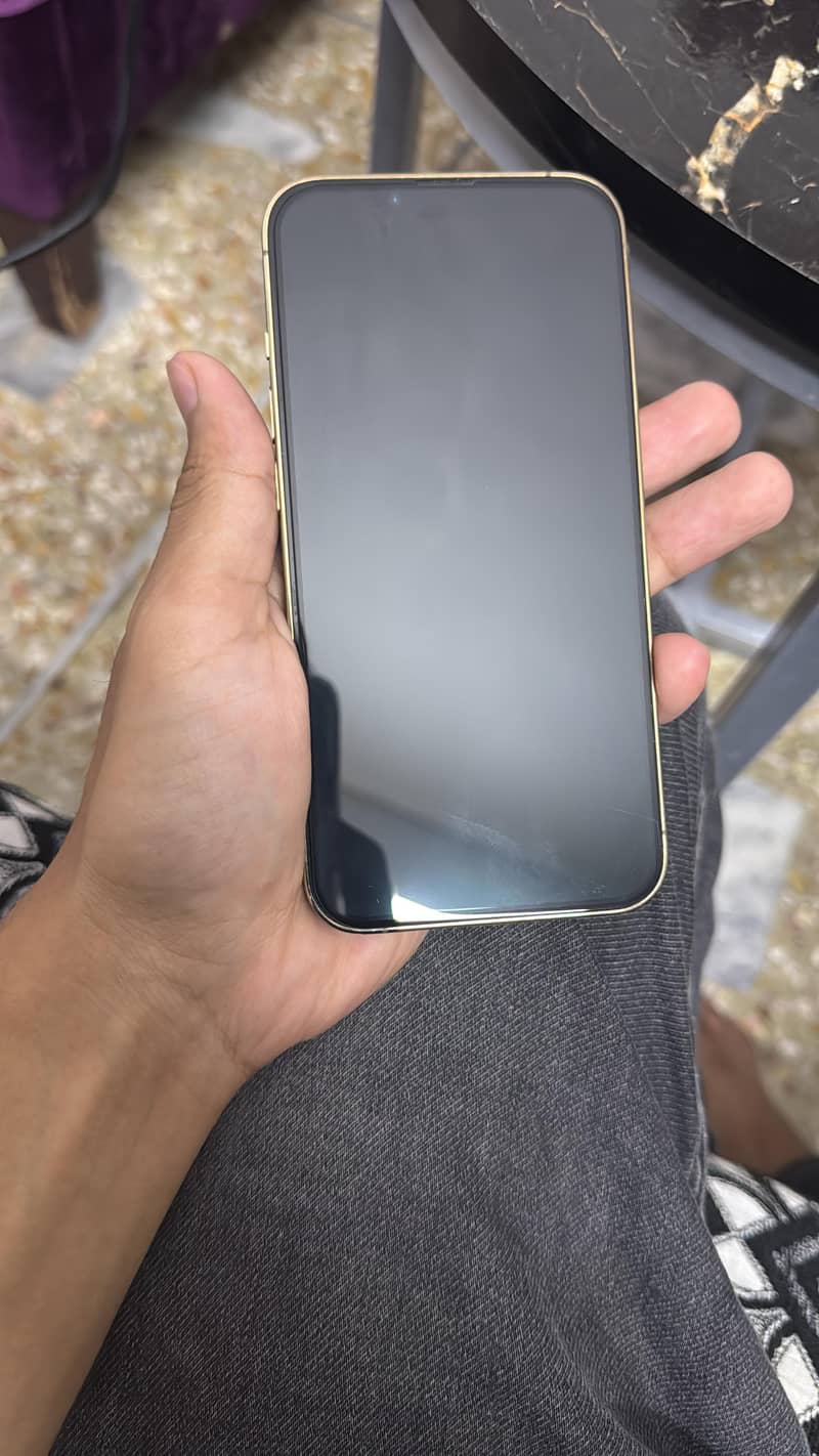 Apple iPhone 13 Pro 1