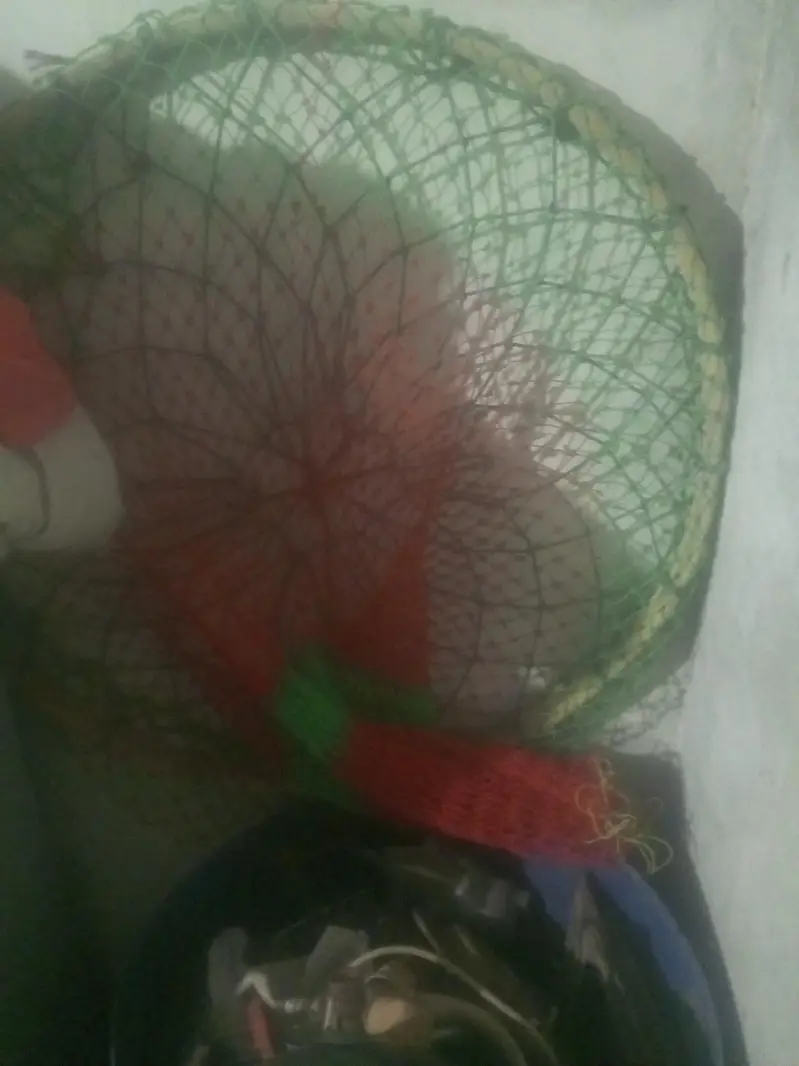 pinjra or bahir wala pinjra or aik dram aik chikki hai kami Jai gii wa — photo 4