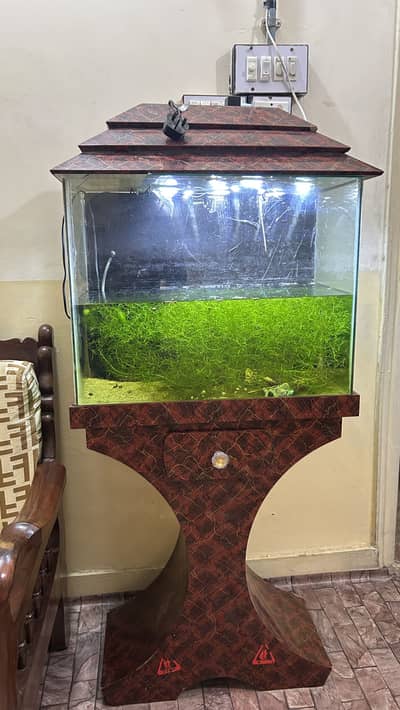 Aquarium with sand ,hood and stand