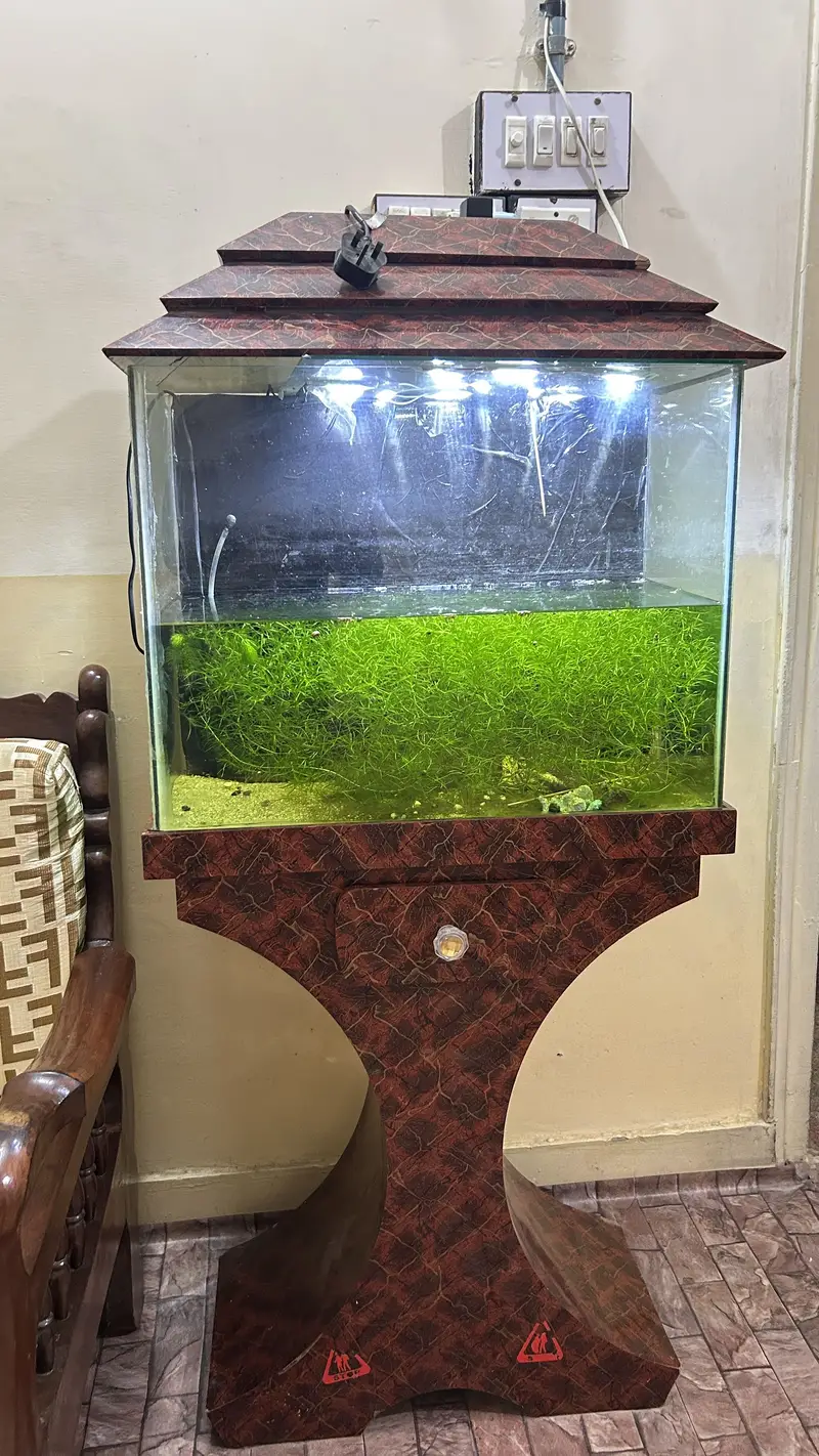 Aquarium with sand ,hood and stand