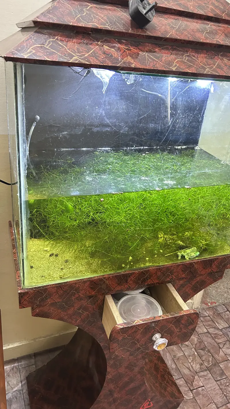 Aquarium with sand ,hood and stand — photo 2