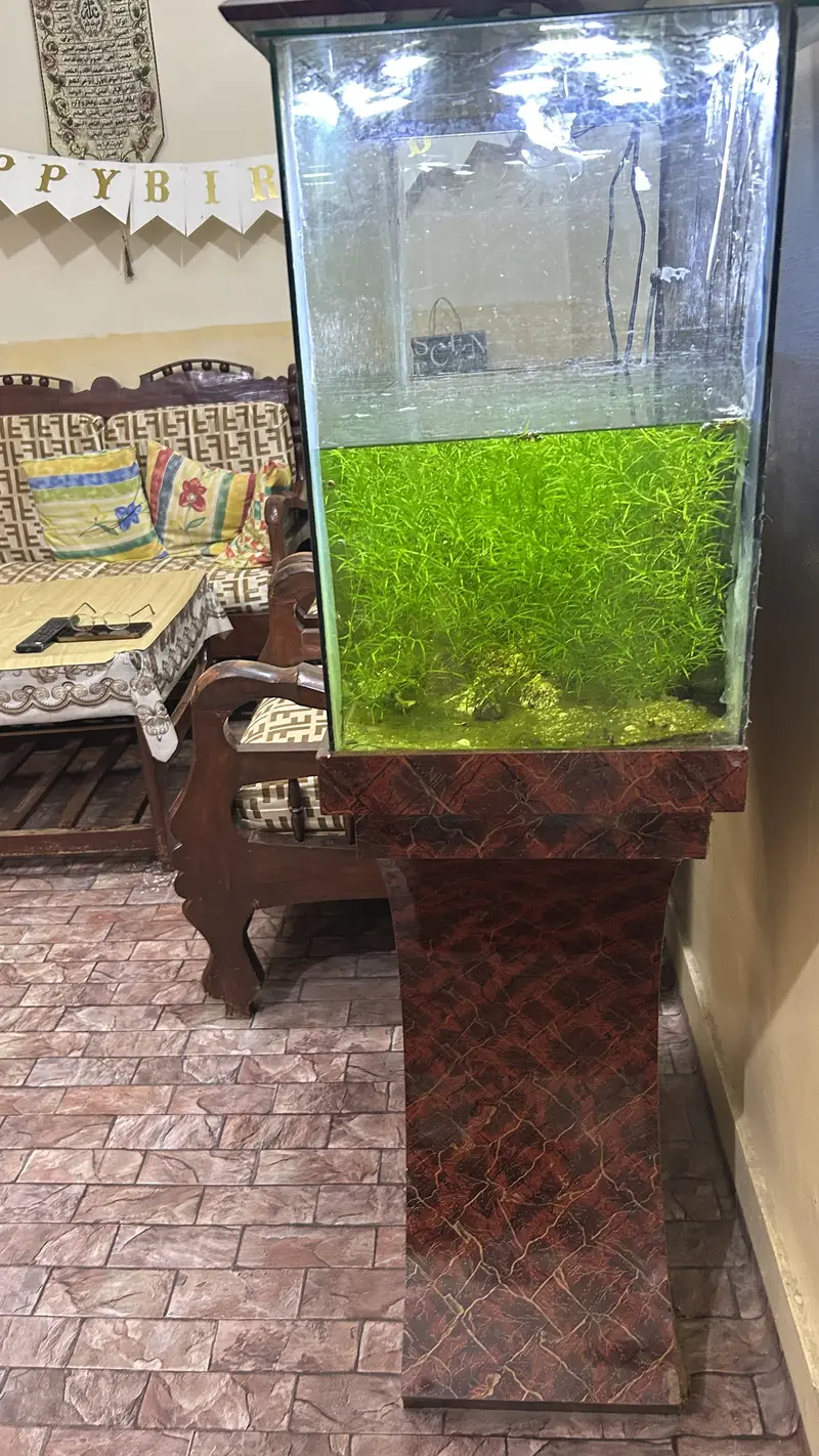 Aquarium with sand ,hood and stand — photo 3