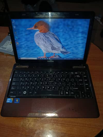 Toshiba Core i5
