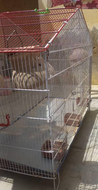 Big Size Cage, Pinjra