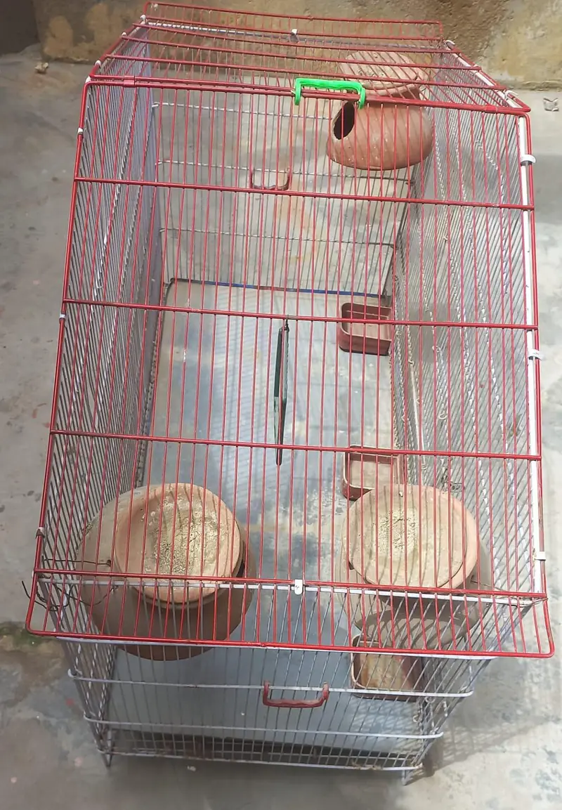 Big Size Cage, Pinjra — photo 2