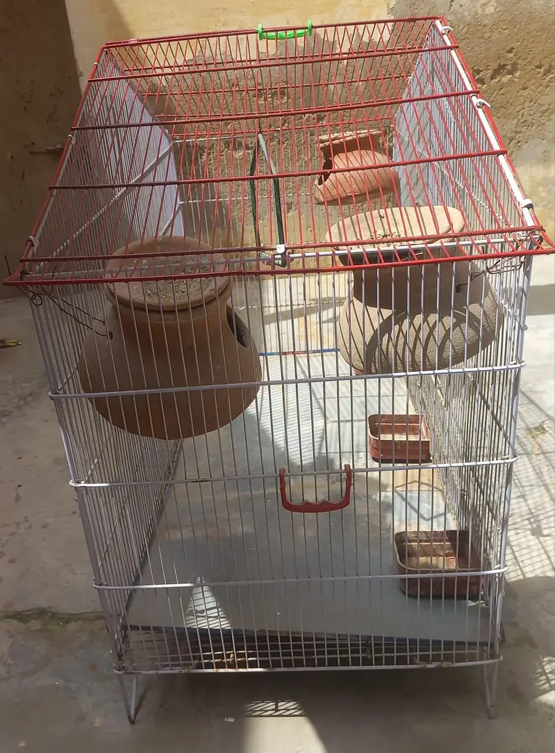 Big Size Cage, Pinjra — photo 3