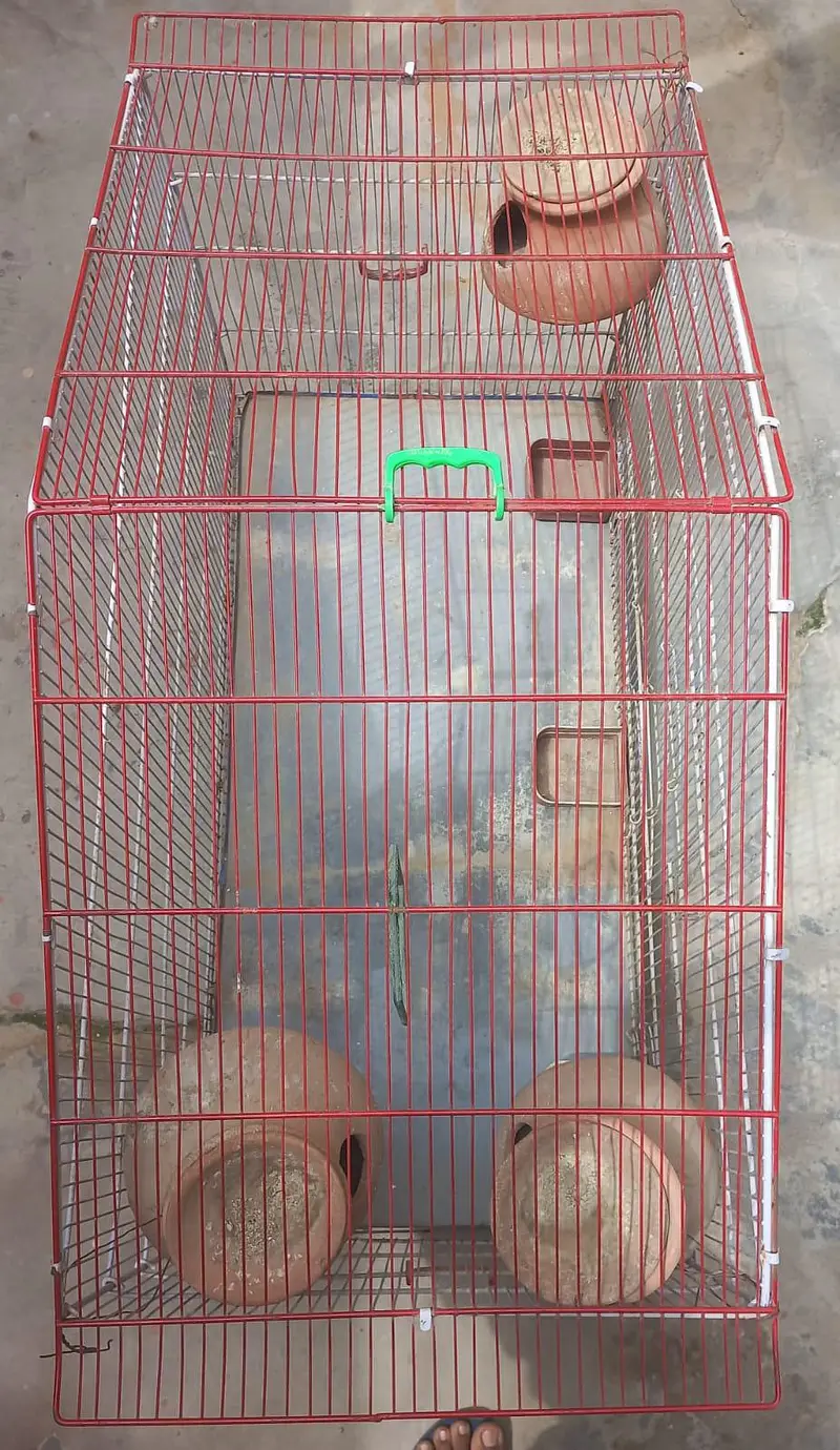 Big Size Cage, Pinjra — photo 4