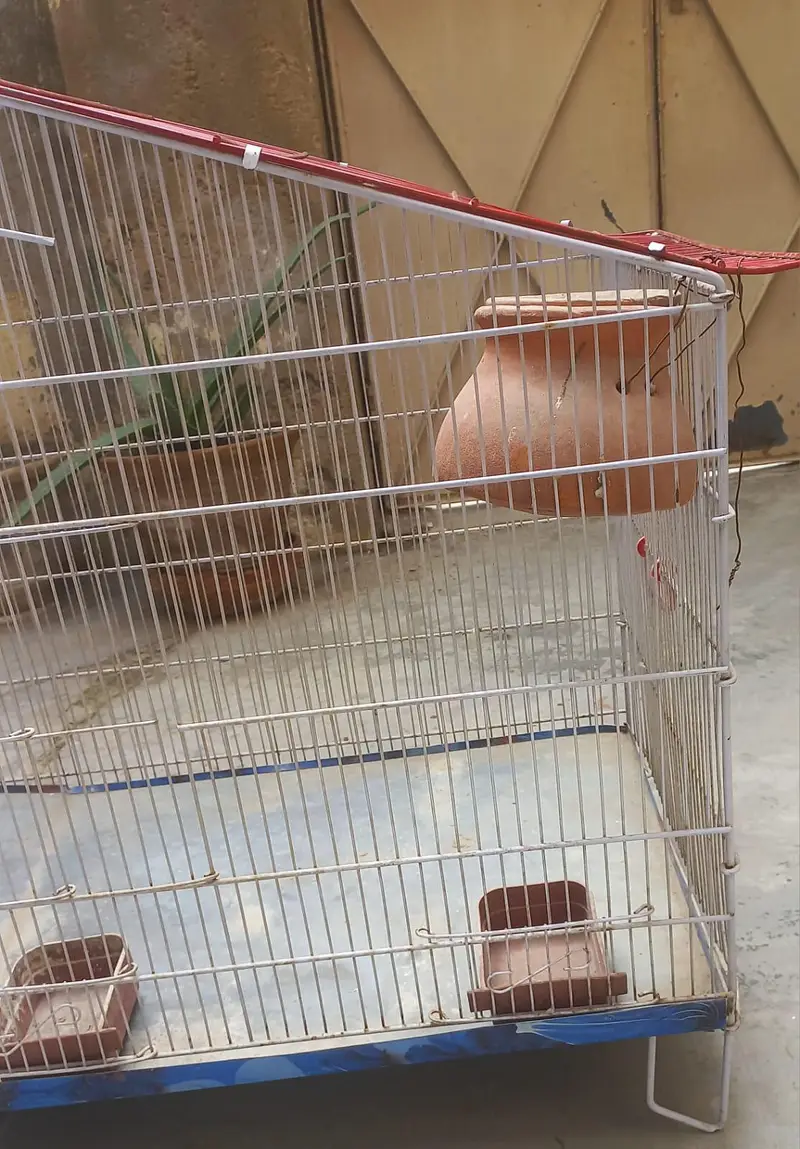 Big Size Cage, Pinjra — photo 5