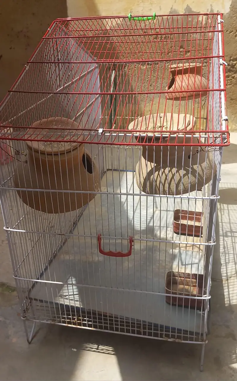 Big Size Cage, Pinjra — photo 7