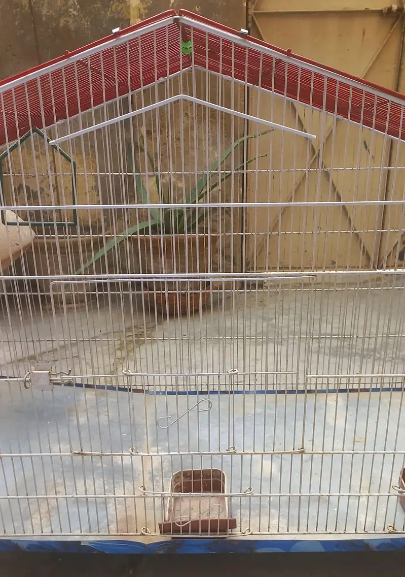 Big Size Cage, Pinjra — photo 8