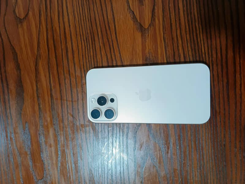 iPhone 16 Pro Max 1