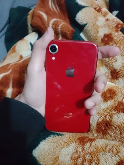 iPhone XR