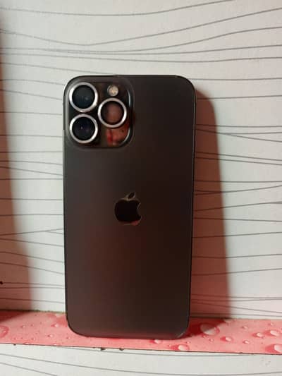 Apple iPhone 13 Pro Max