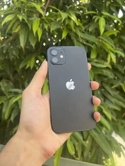 Apple iPhone 12