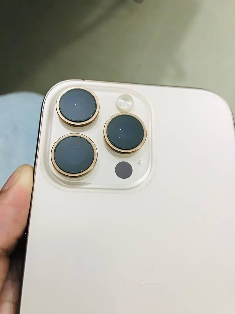 Apple iPhone 16 Pro Max 1