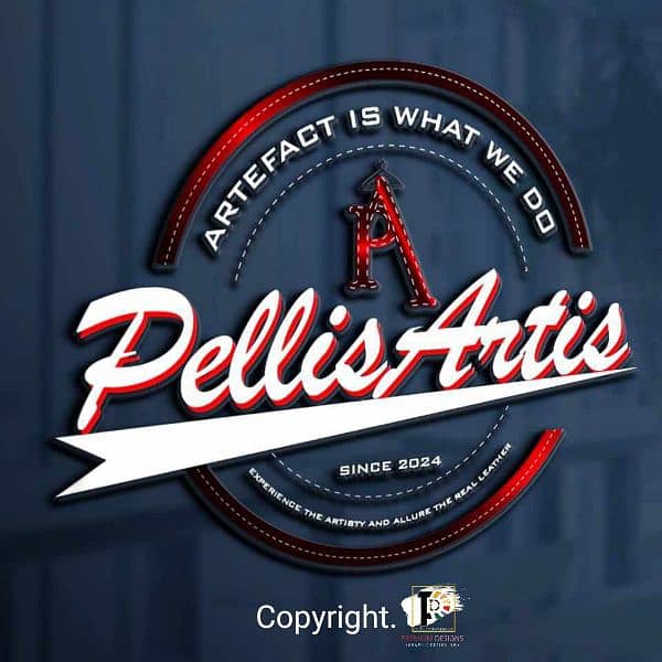 Logo Design with Brand Identity 1
