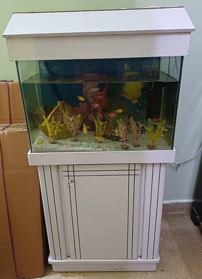 Fish Aquarium