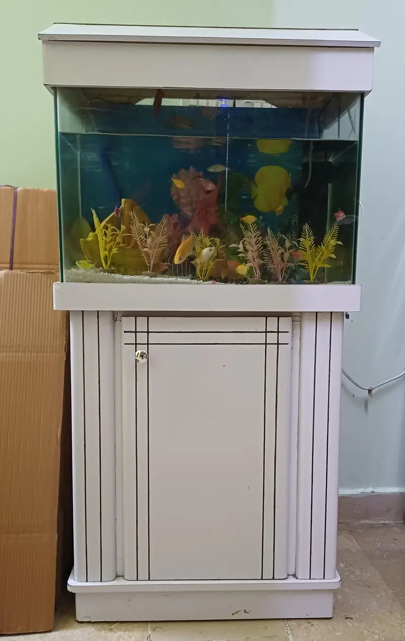 Fish Aquarium — photo 2