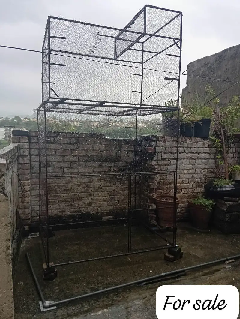 cage for all birds