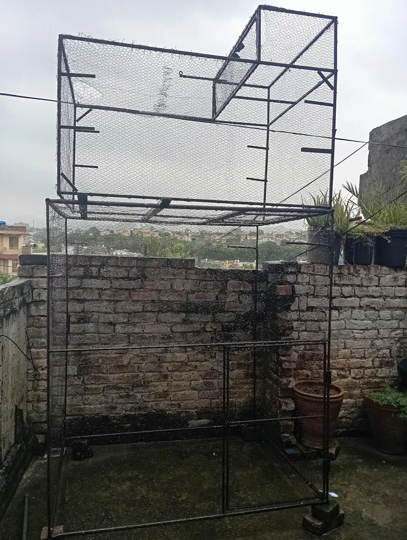cage for all birds — photo 3