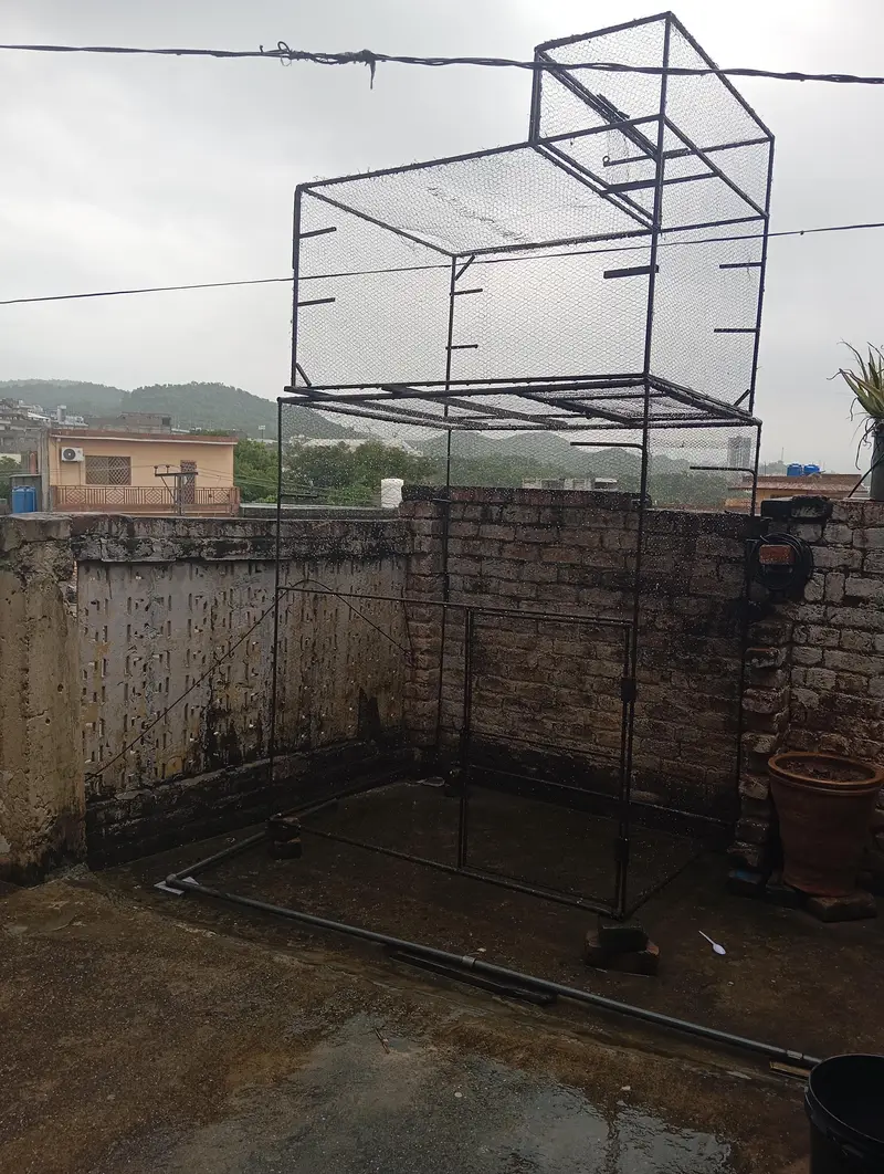 cage for all birds — photo 4