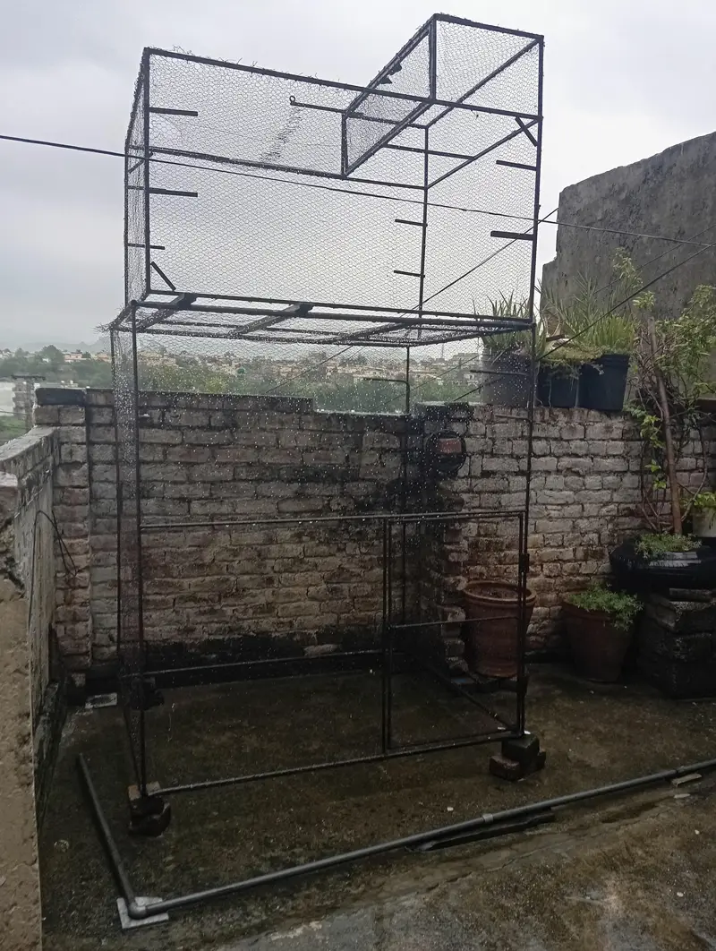 cage for all birds — photo 5