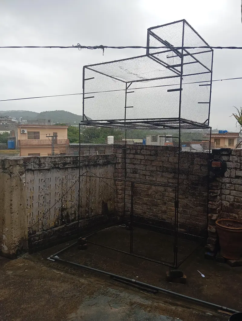cage for all birds — photo 6