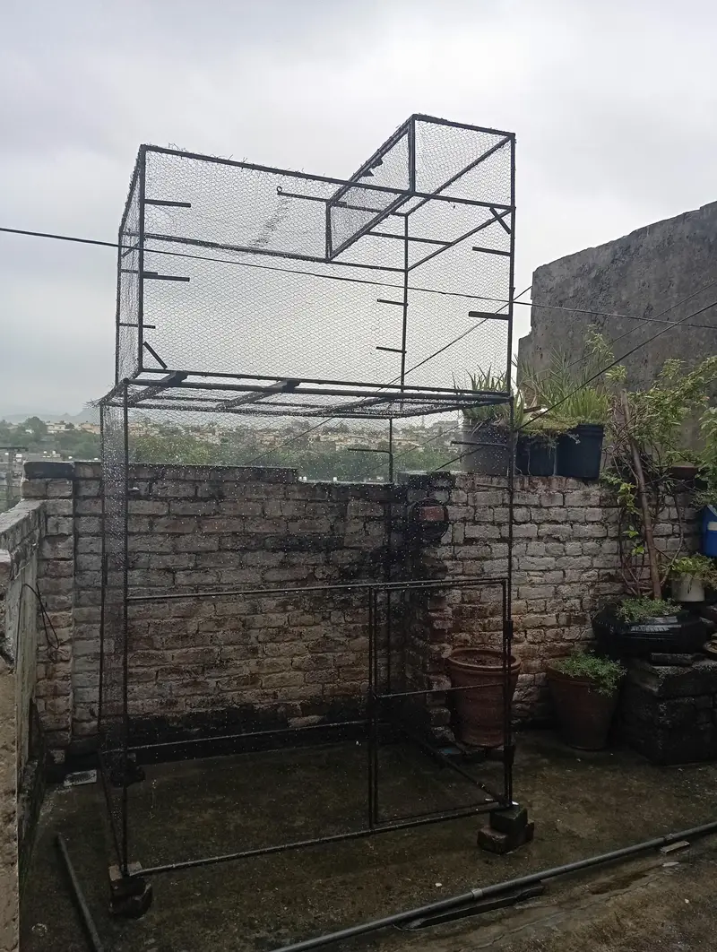 cage for all birds — photo 7