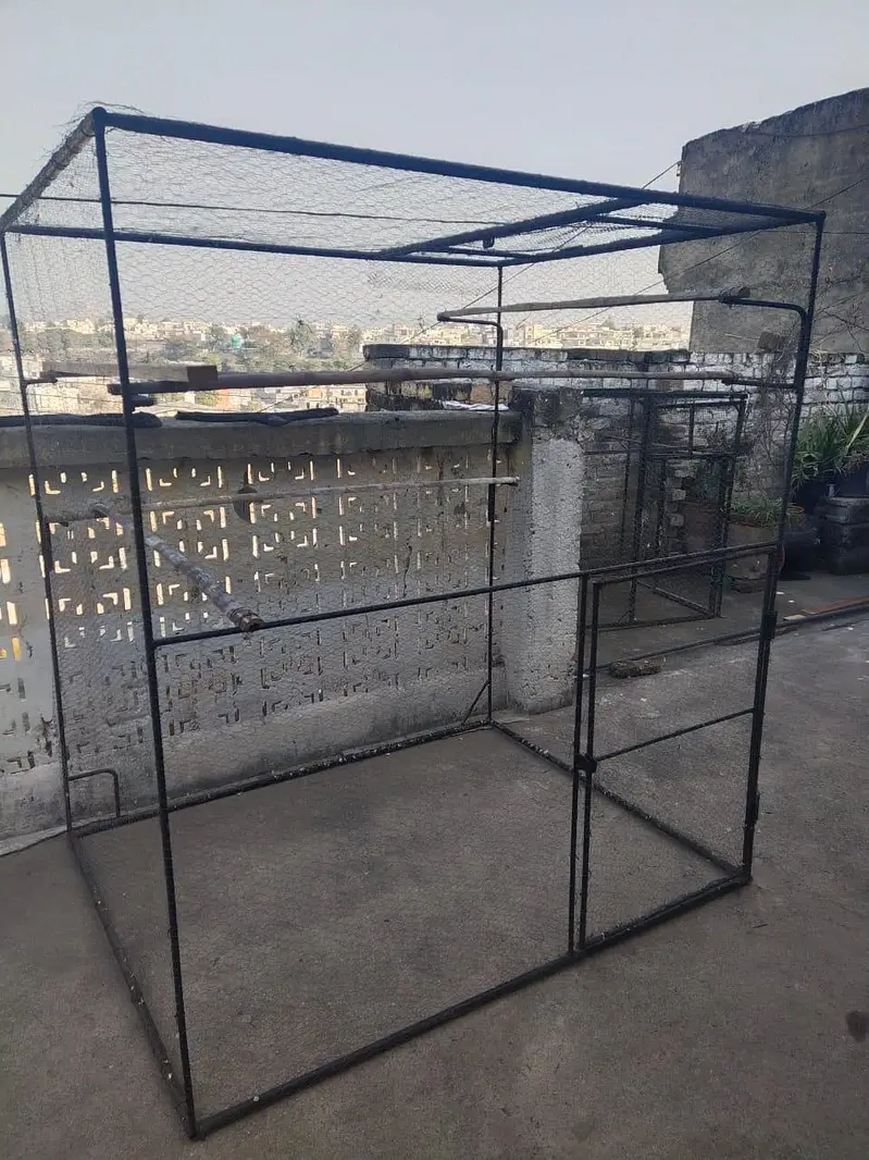 cage for all birds — photo 9