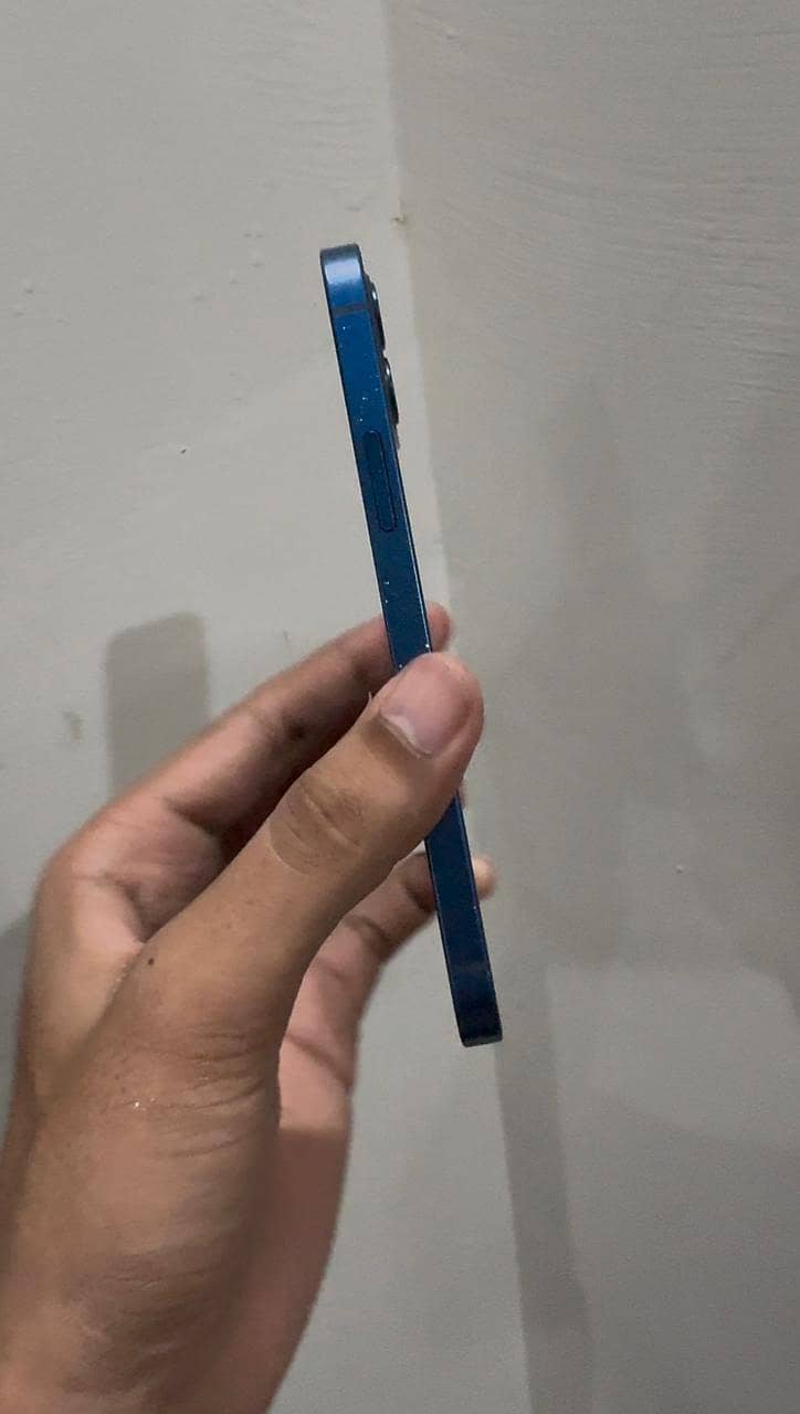 Apple iPhone 12 1