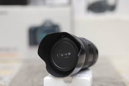 Canon L series 24-105mm  f4L