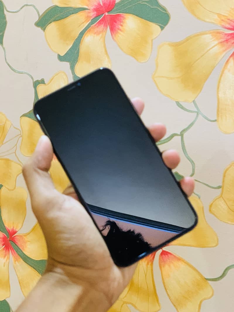 Apple iPhone 11 Pro Max 1