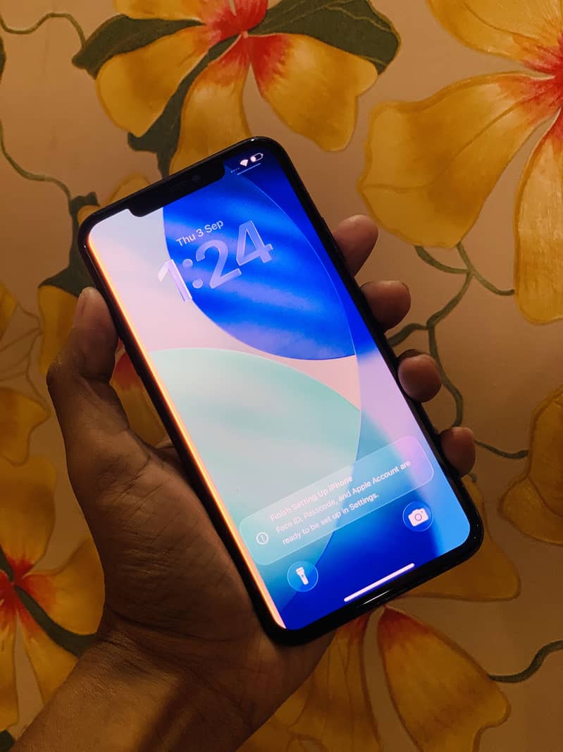 Apple iPhone 11 Pro Max 2