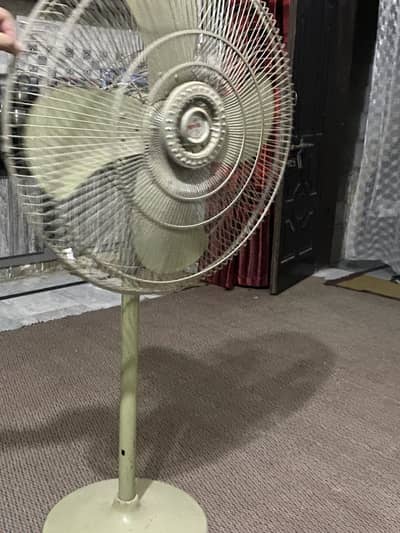 Royal fan company stand fan for sale