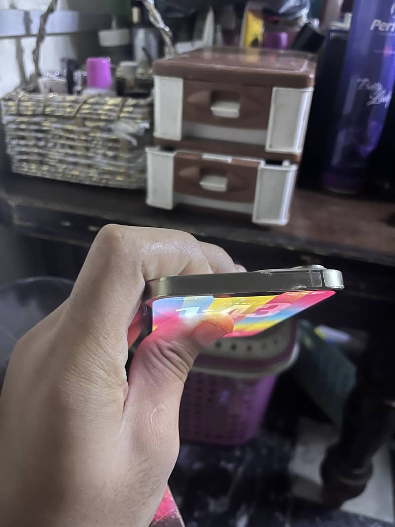 Apple iPhone 13 Pro Max 1