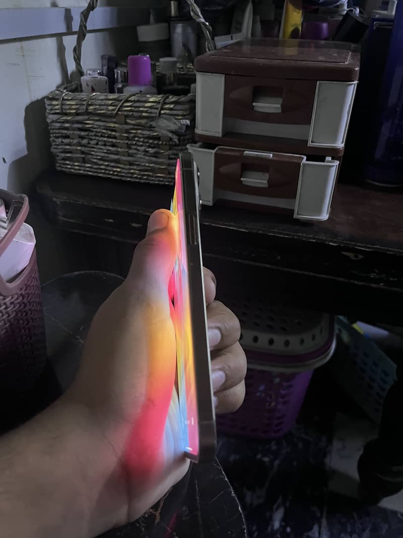 Apple iPhone 13 Pro Max 2