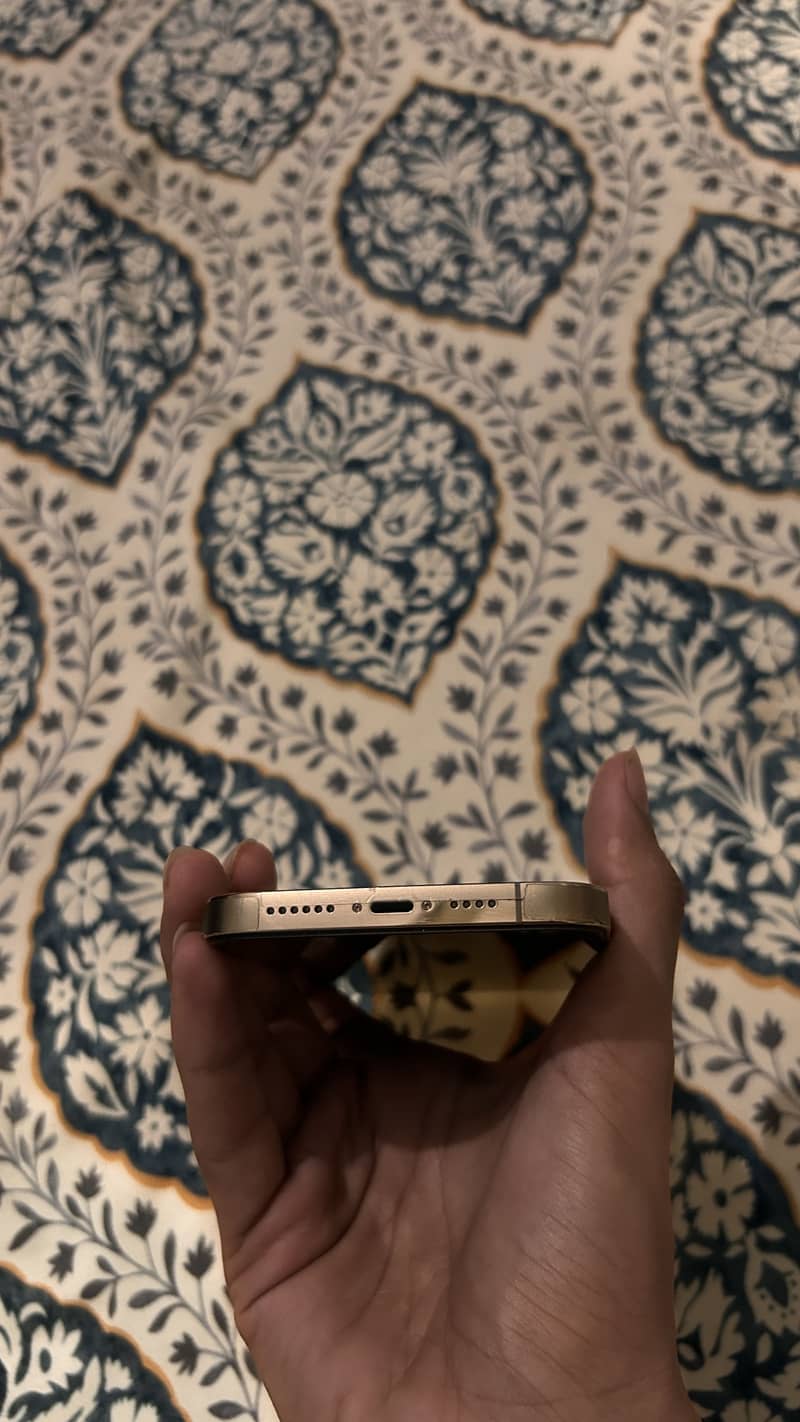 Apple iPhone 13 Pro Max 1