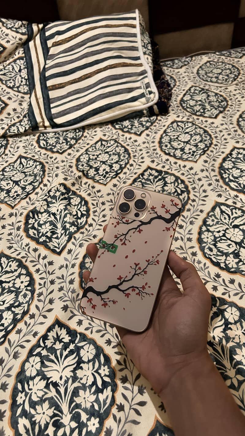 Apple iPhone 13 Pro Max 4