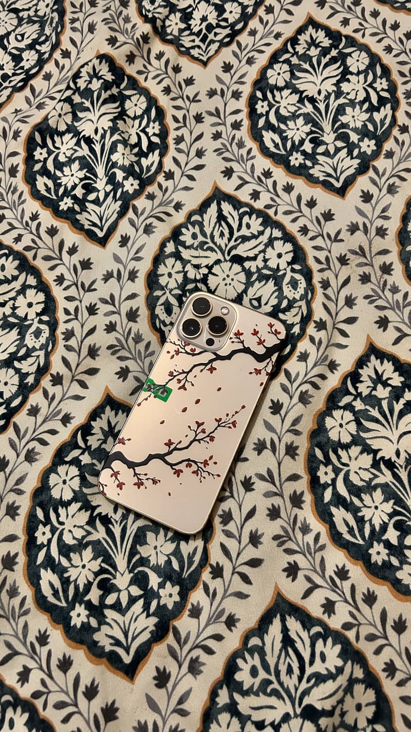 Apple iPhone 13 Pro Max 5