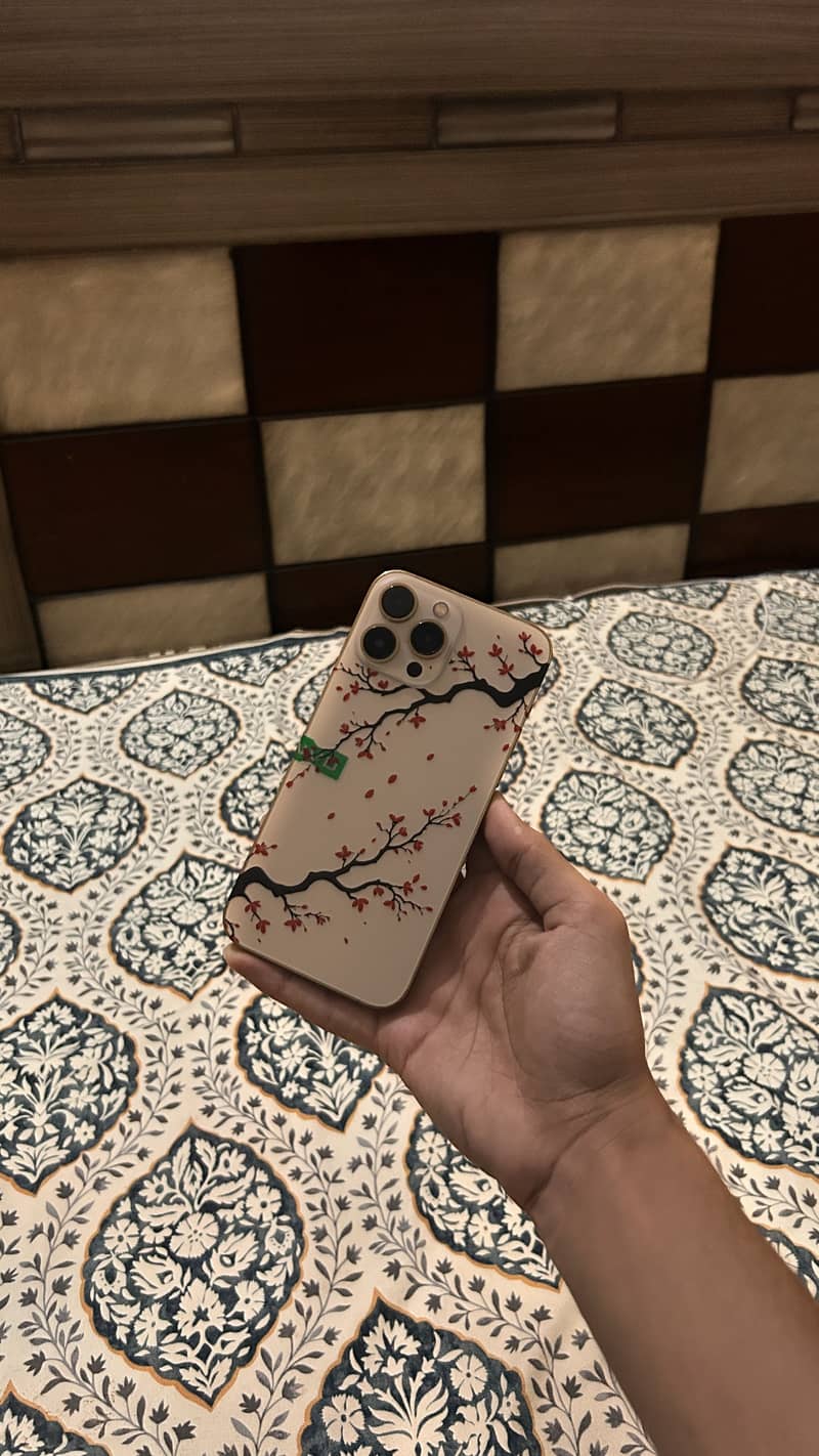 Apple iPhone 13 Pro Max 6