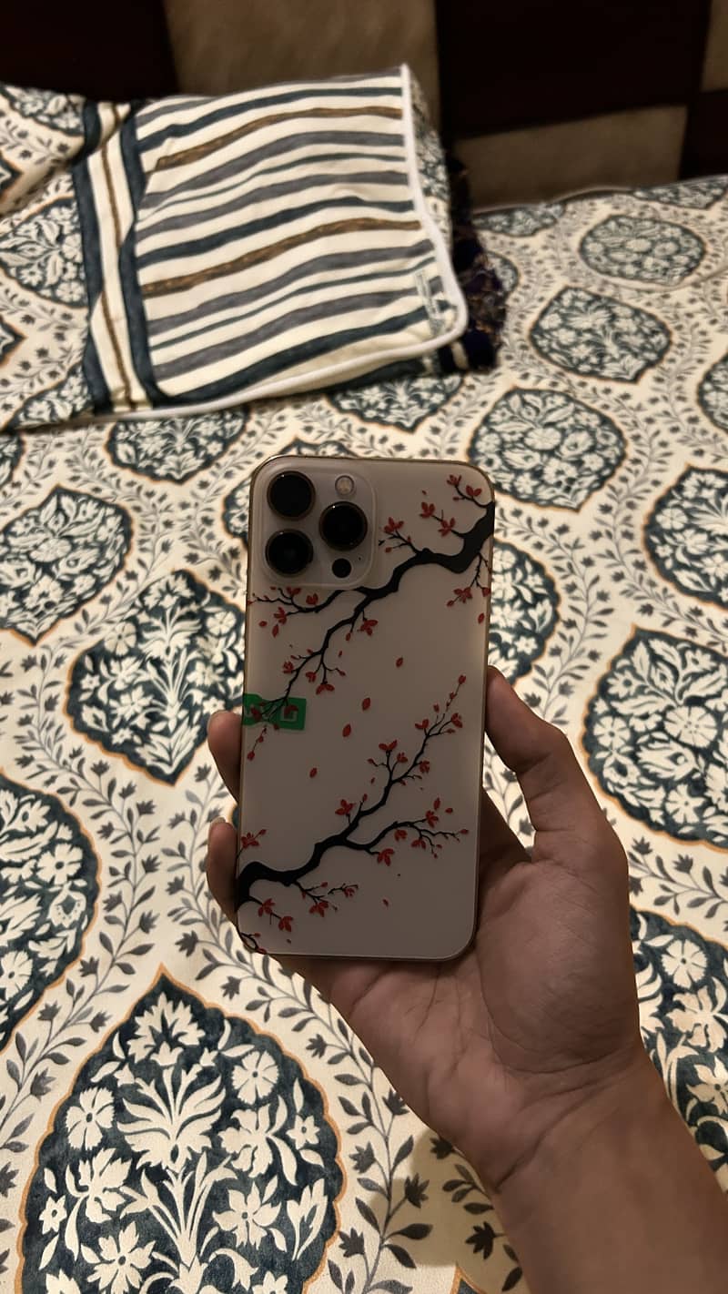 Apple iPhone 13 Pro Max 10