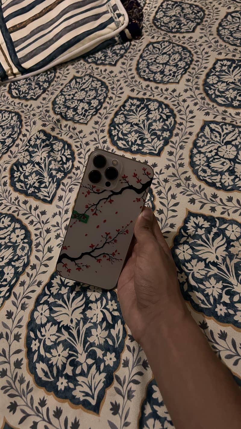 Apple iPhone 13 Pro Max 15