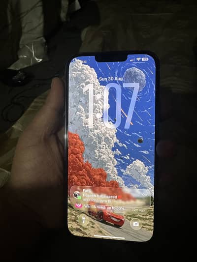 Apple iPhone 13 Pro Max