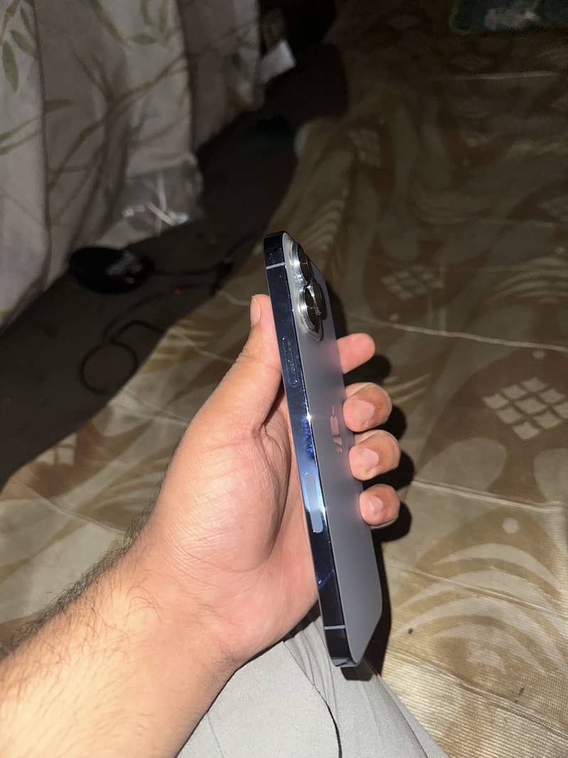 Apple iPhone 13 Pro Max 1