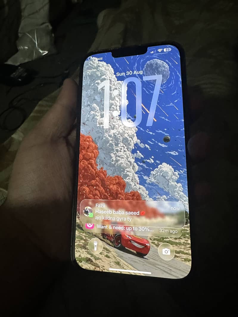 Apple iPhone 13 Pro Max 5