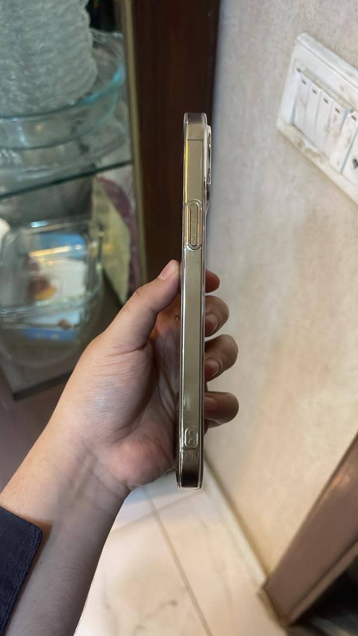 Apple iPhone 12 Pro Max 1