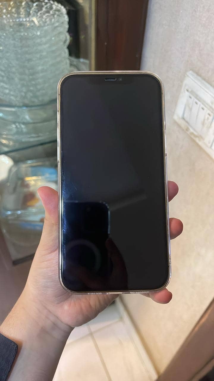 Apple iPhone 12 Pro Max 2