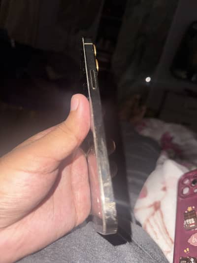 Apple iPhone 12 Pro Max