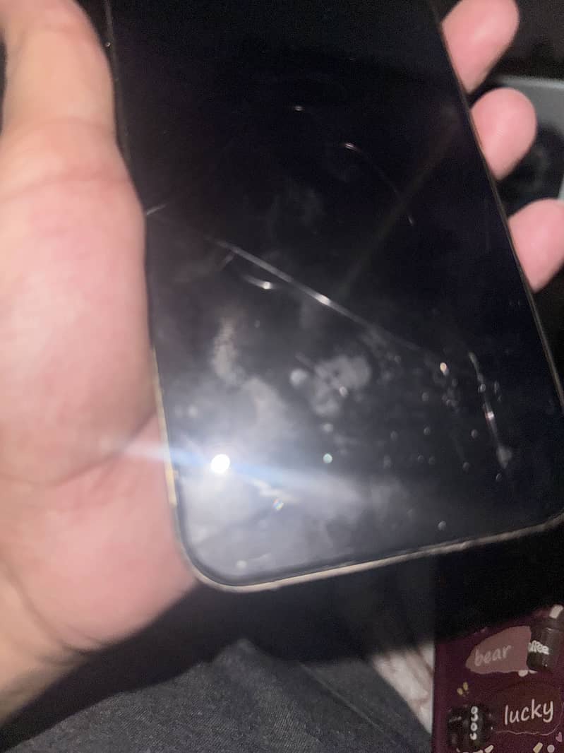 Apple iPhone 12 Pro Max 2
